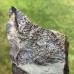 Stromatocystites pentagularis